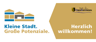 Graphic Recording im HInterggrund, Publikum im Vordergrund
