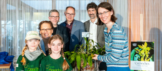 Gemaltes Bild, fröhliche Kinder beim Seilziehen Starke Kinder können für ihre Rechte eintreten.
